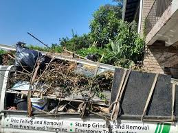 Best Estate Cleanout  in Belle Haven, VA
